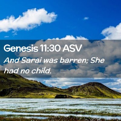 Picture 02 - Genesis 11:30 ASV - And Sarai was barren; She had no - Bible Verse Picture