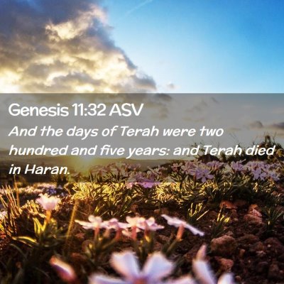 Picture 02 - Genesis 11:32 ASV - And the days of Terah were two hundred and five - Bible Verse Picture