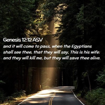 Picture 02 - Genesis 12:12 ASV - and it will come to pass, when the Egyptians - Bible Verse Picture