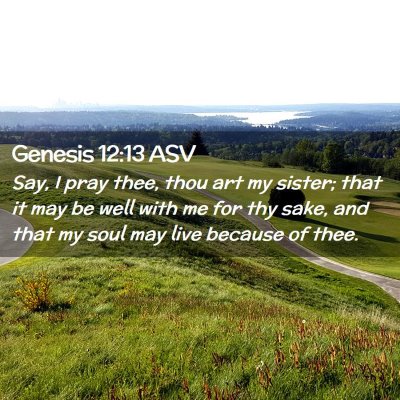 Picture 02 - Genesis 12:13 ASV - Say, I pray thee, thou art my sister; that it may - Bible Verse Picture
