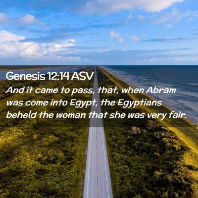 Picture 02 - Genesis 12:14 ASV - And it came to pass, that, when Abram was come - Bible Verse Picture