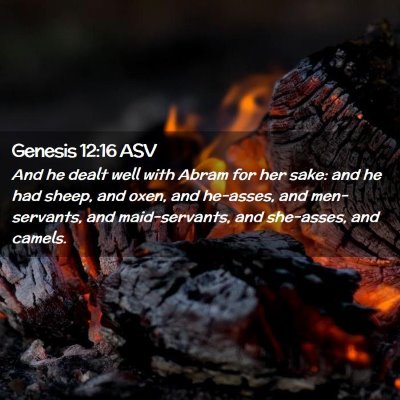 Picture 02 - Genesis 12:16 ASV - And he dealt well with Abram for her sake: and he - Bible Verse Picture
