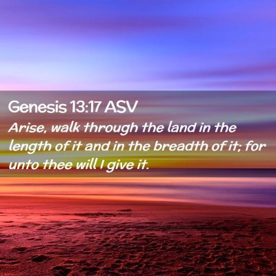 Picture 02 - Genesis 13:17 ASV - Arise, walk through the land in the length of it - Bible Verse Picture