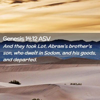 Picture 02 - Genesis 14:12 ASV - And they took Lot, Abram's brother's son, who - Bible Verse Picture