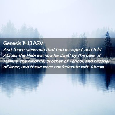 Picture 02 - Genesis 14:13 ASV - And there came one that had escaped, and told - Bible Verse Picture