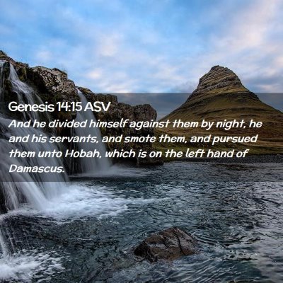 Picture 02 - Genesis 14:15 ASV - And he divided himself against them by night, he - Bible Verse Picture
