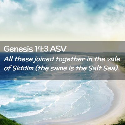 Picture 02 - Genesis 14:3 ASV - All these joined together in the vale of Siddim - Bible Verse Picture