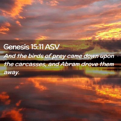 Picture 02 - Genesis 15:11 ASV - And the birds of prey came down upon the - Bible Verse Picture