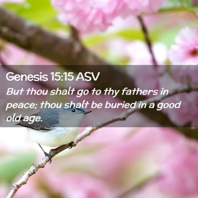 Picture 02 - Genesis 15:15 ASV - But thou shalt go to thy fathers in peace; thou - Bible Verse Picture
