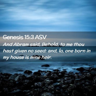 Picture 02 - Genesis 15:3 ASV - And Abram said, Behold, to me thou hast given no - Bible Verse Picture