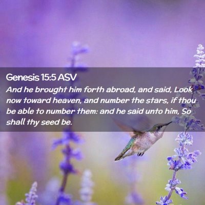 Picture 02 - Genesis 15:5 ASV - And he brought him forth abroad, and said, Look - Bible Verse Picture