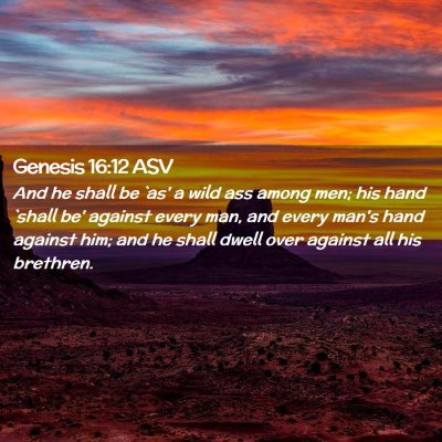 Picture 02 - Genesis 16:12 ASV - And he shall be `as' a wild ass among men; his - Bible Verse Picture