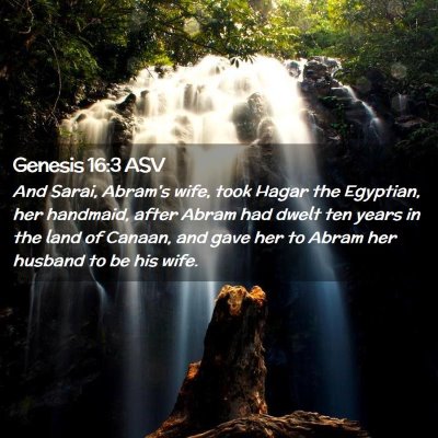 Picture 02 - Genesis 16:3 ASV - And Sarai, Abram's wife, took Hagar the Egyptian, - Bible Verse Picture