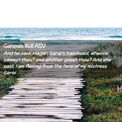 Picture 02 - Genesis 16:8 ASV - And he said, Hagar, Sarai's handmaid, whence - Bible Verse Picture