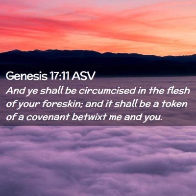 Picture 02 - Genesis 17:11 ASV - And ye shall be circumcised in the flesh of your - Bible Verse Picture