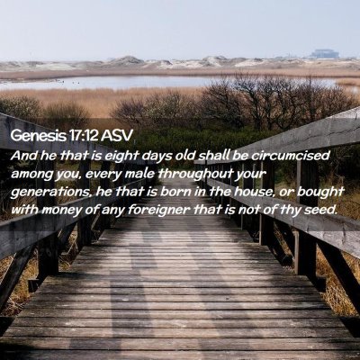 Picture 02 - Genesis 17:12 ASV - And he that is eight days old shall be - Bible Verse Picture