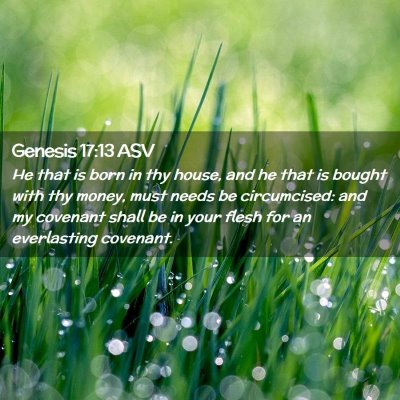 Picture 02 - Genesis 17:13 ASV - He that is born in thy house, and he that is - Bible Verse Picture