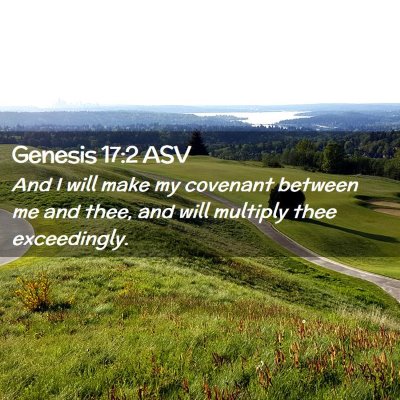 Picture 02 - Genesis 17:2 ASV - And I will make my covenant between me and thee, - Bible Verse Picture