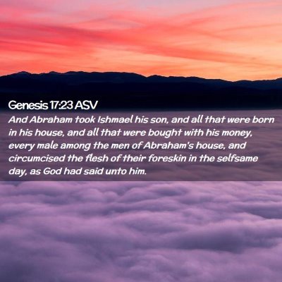 Picture 02 - Genesis 17:23 ASV - And Abraham took Ishmael his son, and all that - Bible Verse Picture