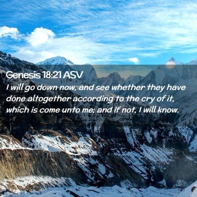 Picture 02 - Genesis 18:21 ASV - I will go down now, and see whether they have - Bible Verse Picture