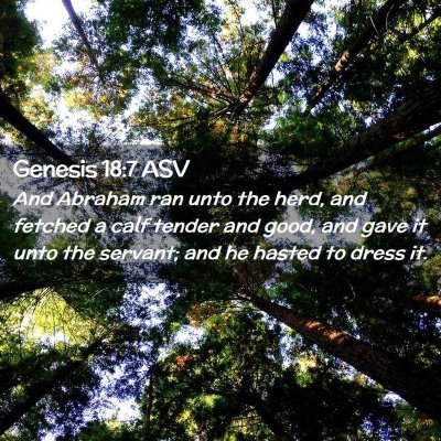 Picture 02 - Genesis 18:7 ASV - And Abraham ran unto the herd, and fetched a calf - Bible Verse Picture