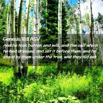 Picture 02 - Genesis 18:8 ASV - And he took butter, and milk, and the calf which - Bible Verse Picture