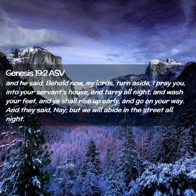 Picture 02 - Genesis 19:2 ASV - and he said, Behold now, my lords, turn aside, I - Bible Verse Picture