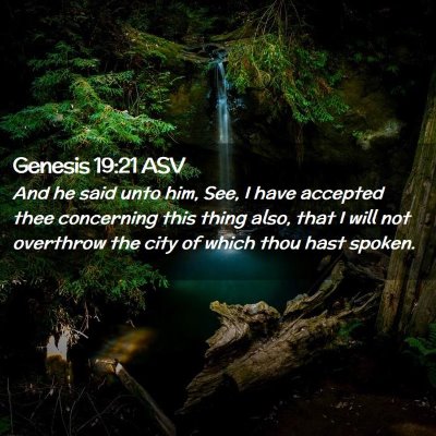 Picture 02 - Genesis 19:21 ASV - And he said unto him, See, I have accepted thee - Bible Verse Picture