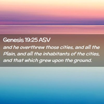 Picture 02 - Genesis 19:25 ASV - and he overthrew those cities, and all the Plain, - Bible Verse Picture
