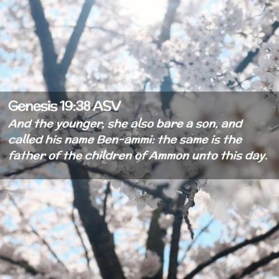 Picture 02 - Genesis 19:38 ASV - And the younger, she also bare a son, and called - Bible Verse Picture