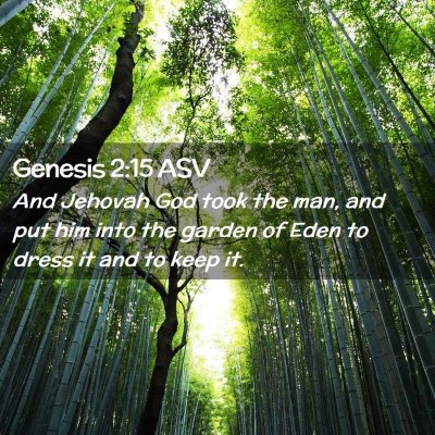 Picture 02 - Genesis 2:15 ASV - And Jehovah God took the man, and put him into - Bible Verse Picture