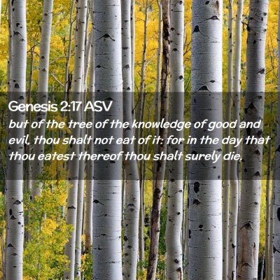 Picture 02 - Genesis 2:17 ASV - but of the tree of the knowledge of good and - Bible Verse Picture