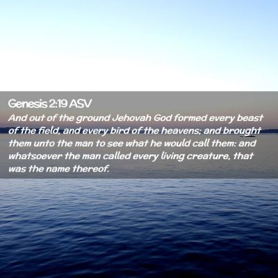 Picture 02 - Genesis 2:19 ASV - And out of the ground Jehovah God formed every - Bible Verse Picture