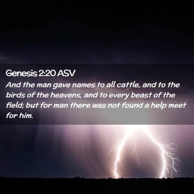 Picture 02 - Genesis 2:20 ASV - And the man gave names to all cattle, and to the - Bible Verse Picture