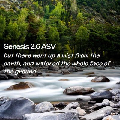 Picture 02 - Genesis 2:6 ASV - but there went up a mist from the earth, and - Bible Verse Picture