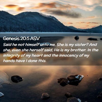 Picture 02 - Genesis 20:5 ASV - Said he not himself unto me, She is my sister? - Bible Verse Picture