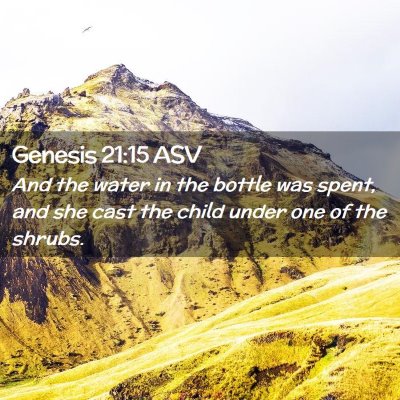 Picture 02 - Genesis 21:15 ASV - And the water in the bottle was spent, and she - Bible Verse Picture