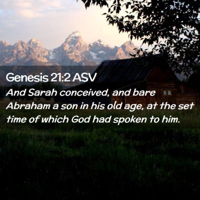 Picture 02 - Genesis 21:2 ASV - And Sarah conceived, and bare Abraham a son in - Bible Verse Picture