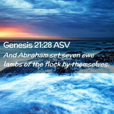Picture 02 - Genesis 21:28 ASV - And Abraham set seven ewe lambs of the flock by - Bible Verse Picture