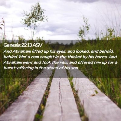 Picture 02 - Genesis 22:13 ASV - And Abraham lifted up his eyes, and looked, and - Bible Verse Picture