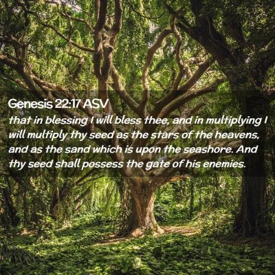 Picture 02 - Genesis 22:17 ASV - that in blessing I will bless thee, and in - Bible Verse Picture
