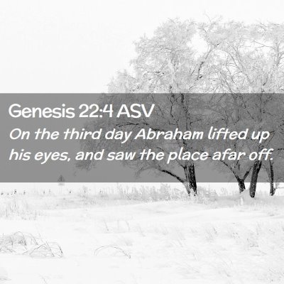 Picture 02 - Genesis 22:4 ASV - On the third day Abraham lifted up his eyes, and - Bible Verse Picture