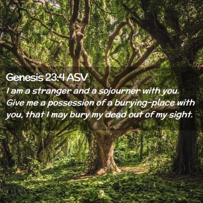 Picture 02 - Genesis 23:4 ASV - I am a stranger and a sojourner with you. Give me - Bible Verse Picture