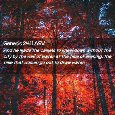 Picture 02 - Genesis 24:11 ASV - And he made the camels to kneel down without the - Bible Verse Picture