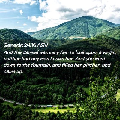 Picture 02 - Genesis 24:16 ASV - And the damsel was very fair to look upon, a - Bible Verse Picture