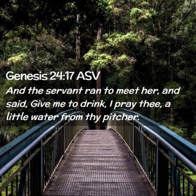 Picture 02 - Genesis 24:17 ASV - And the servant ran to meet her, and said, Give - Bible Verse Picture