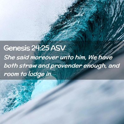 Picture 02 - Genesis 24:25 ASV - She said moreover unto him, We have both straw - Bible Verse Picture