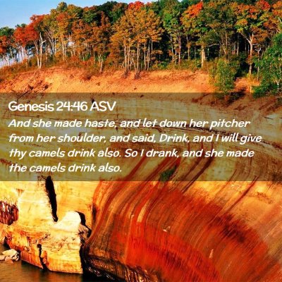 Picture 02 - Genesis 24:46 ASV - And she made haste, and let down her pitcher from - Bible Verse Picture