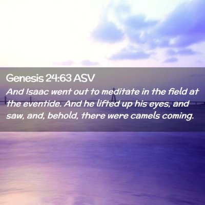 Picture 02 - Genesis 24:63 ASV - And Isaac went out to meditate in the field at - Bible Verse Picture