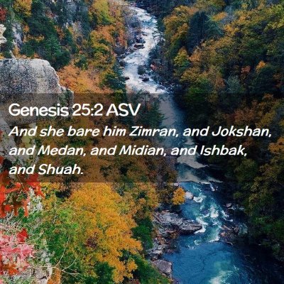 Picture 02 - Genesis 25:2 ASV - And she bare him Zimran, and Jokshan, and Medan, - Bible Verse Picture